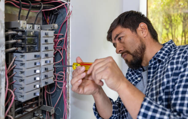 Best Electrical Panel Upgrades  in Weston, MO